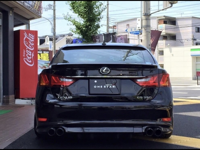 Vl 10nGS FX|[c Gfڎԗ