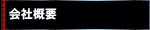 ЊTv